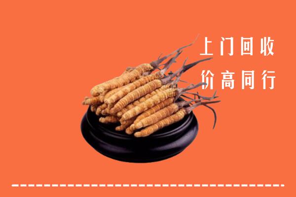高价求购：仙桃市回收散虫草