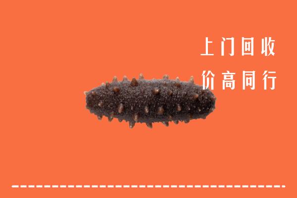 高价求购：仙桃市回收海参